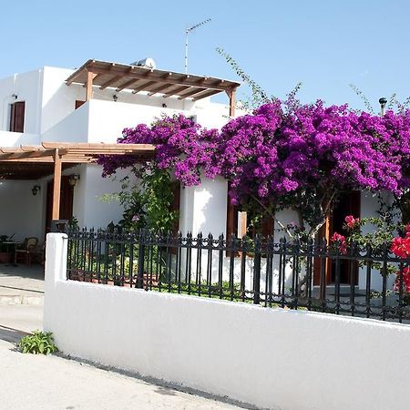 Deidamia Hotel İskiri Dış mekan fotoğraf
