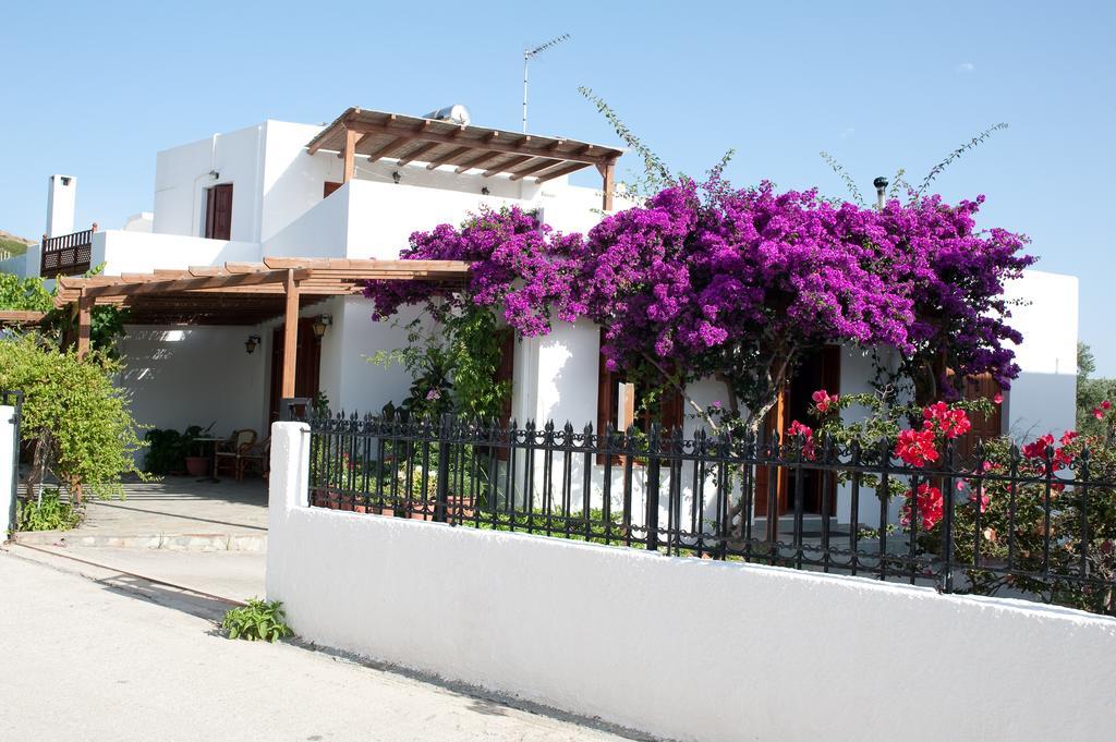 Deidamia Hotel İskiri Dış mekan fotoğraf